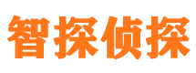 临县外遇调查取证